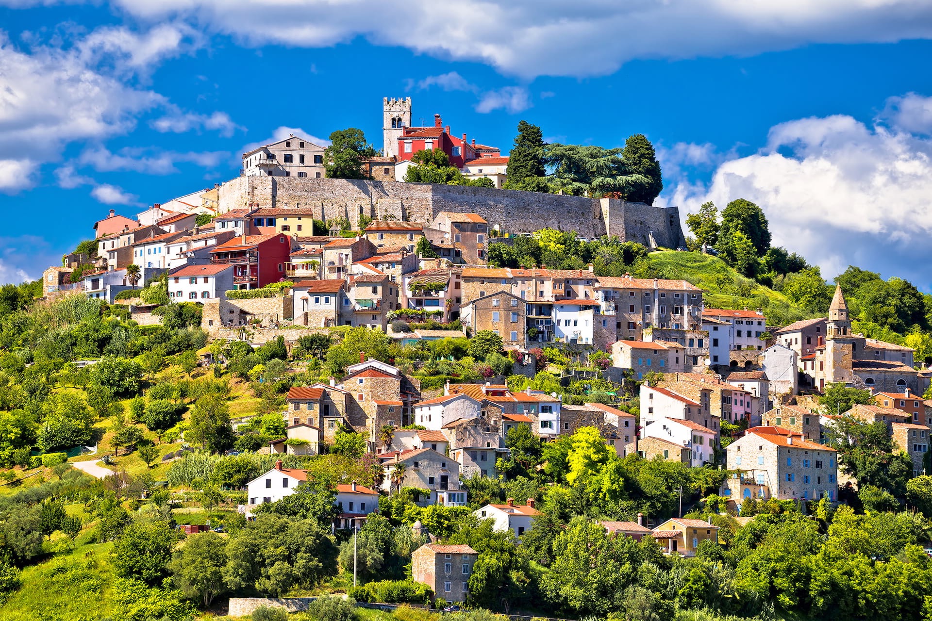 Istrian Truffles — Motovun